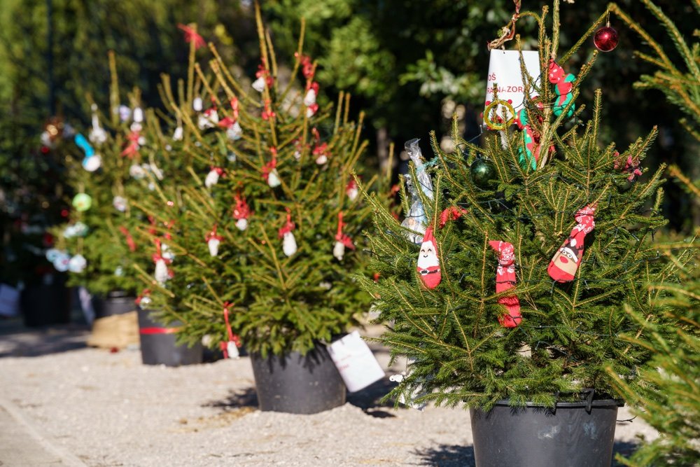 Children's Christmas decorations at Advent Crikvenica